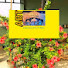CeTVrg0kQSU-channel-avatar-AUDIO BOOKS OF SRI SRI THAKUR