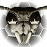 ChQmjtNVULE-channel-avatar-Hornet King