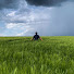 V_ktwYrIeb4-channel-avatar-Rain in silent field