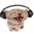 -NnE4DRVi6Q-channel-avatar-Headphone Cat