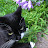 @Reenkitty Avatar
