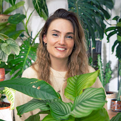 The Jungle Haven net worth
