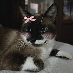 Nalaアイコン画像