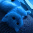 CyYqsPe7ZHI-channel-avatar-Sugar Candy