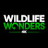 aRmiObbqgSk-channel-avatar-Wildlife Wonders 4K