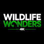 Wildlife Wonders 4K