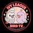 ZsKCdog3kiY-channel-avatar-Baby Zeus & Ozzie 🍎Ivy League Bird TV