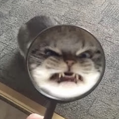 furufnatt