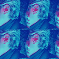 thumbnail img1x1