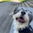 @패리스디앤더블랑