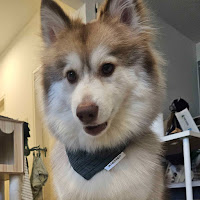 Alexyon Chopperのサムネイル