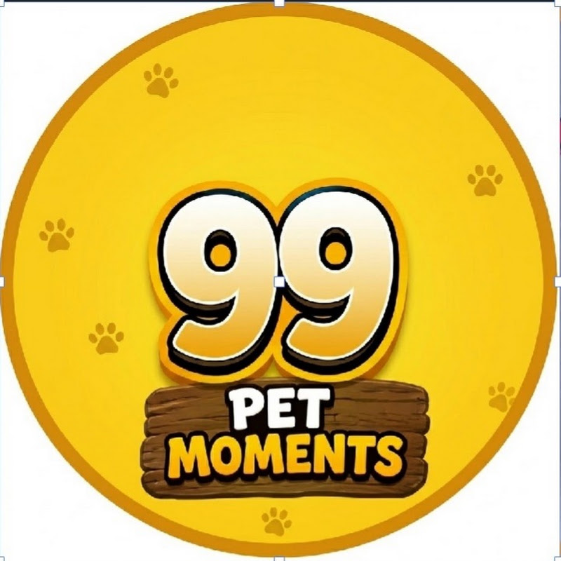 99 - Pet Moments