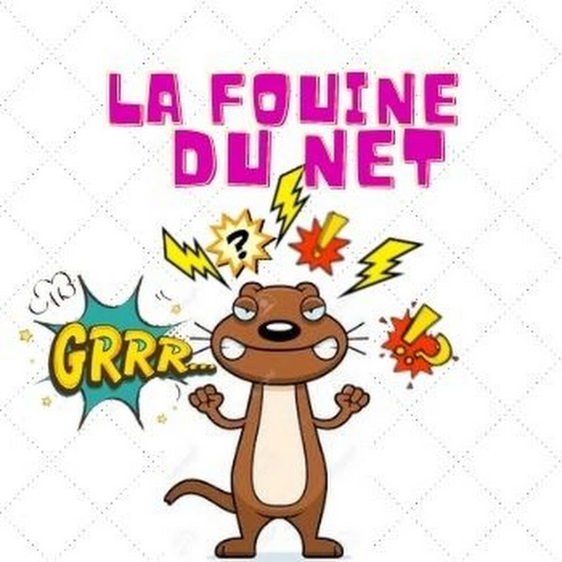 La Fouine du net