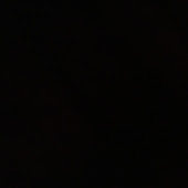 yy