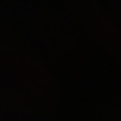 yy