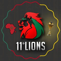 11LionsNL