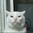 @N5bee7