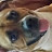 @ritagraham2770 Avatar