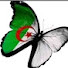 sN6qGjDBQ8U-channel-avatar-مطبخ أم لينا الشاوية