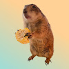 What could Poppy the Prairie Dog buy with $13.08 million?