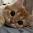 @kittenmeow24 Avatar