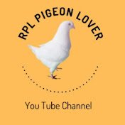 RPL Pigeon Lover 