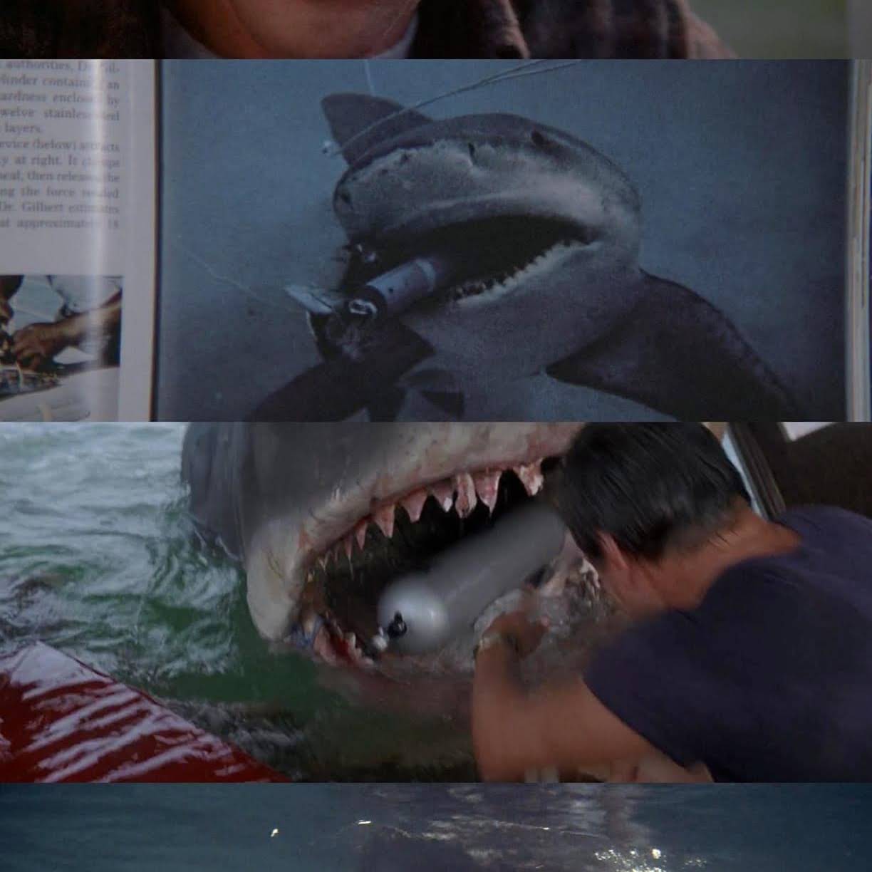 Post from The Daily Jaws