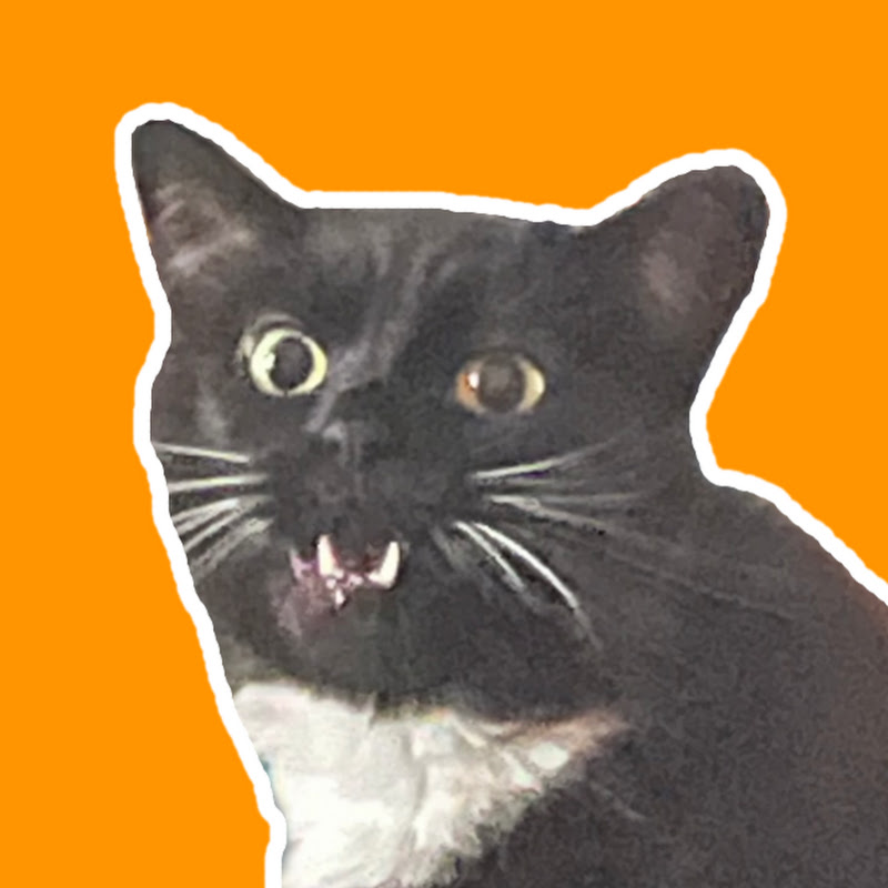 dottyduke