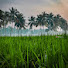 F4omVD0H7sU-channel-avatar-Konaseema Videos