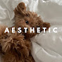 AESTHETICS by J