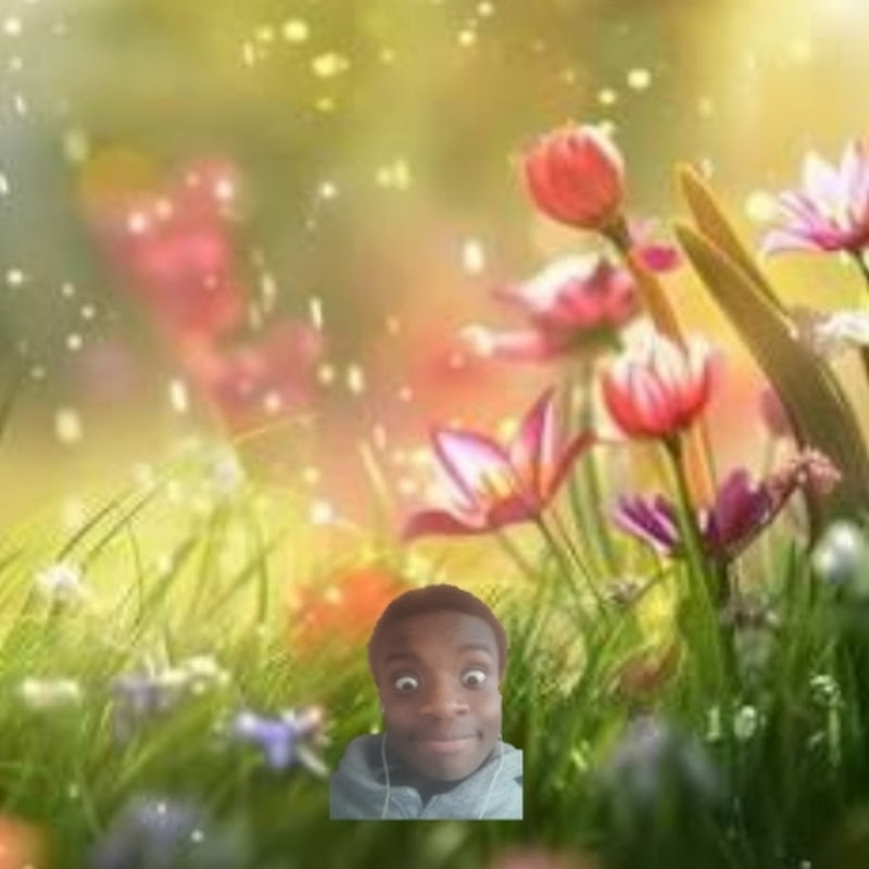 (SPRING) Joshua Tsegah🌻