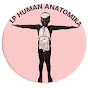 Anatomiqa logo