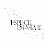 bkccXk-QtTE-channel-avatar-Especie en viaje