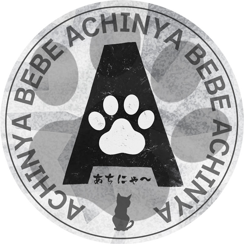 あちキャン🐈にゃーとソロキャンプ