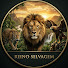 ebXHRG5zvZM-channel-avatar-Reino Selvagem