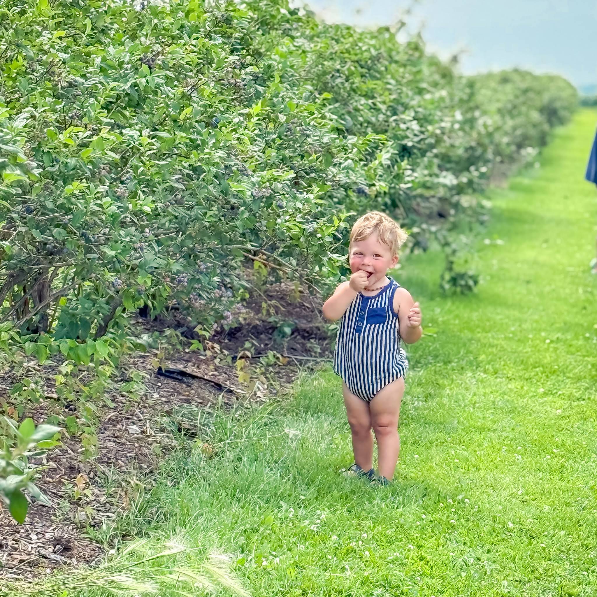 Post from Homesteading with the Zimmermans