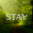 STAY