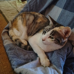 修羅ちゃんねる