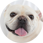 坊とわたしとたまにカレ