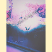 Hidden Moments - トピック