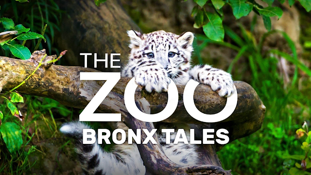 Watch The Zoo: Bronx Tales online | YouTube TV (Free Trial)