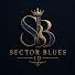 EdhClVB8dlg-channel-avatar-SectorBluesId