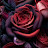 @البرنس-ه8ل