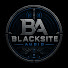 3zeZXJf6FkA-channel-avatar-Blacksite Audio