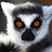@King-Lemur