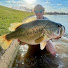 eB2dbI36IQM-channel-avatar-Vince Fishing