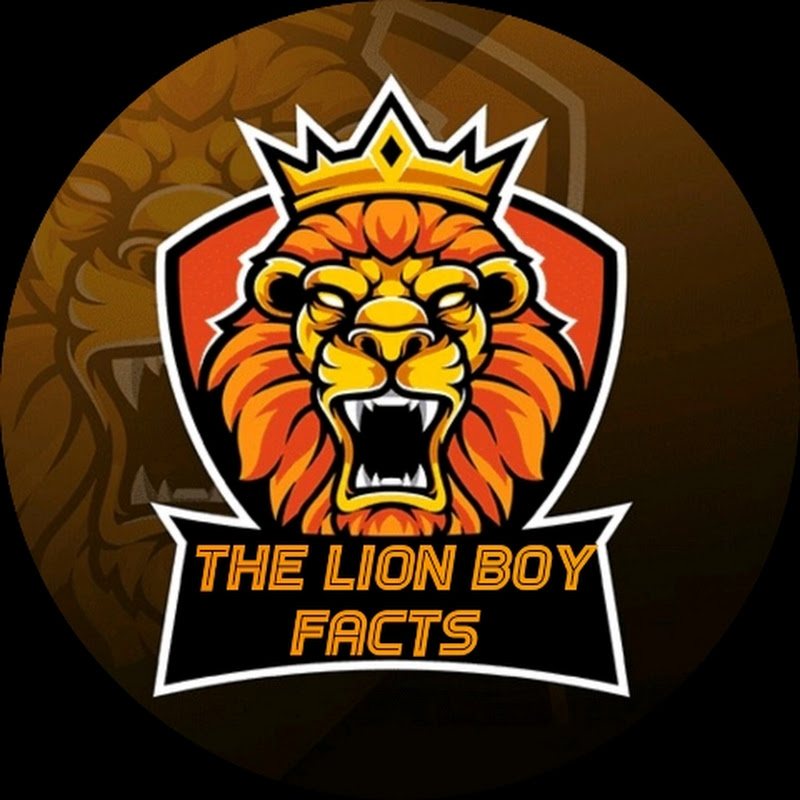 The lion boy
