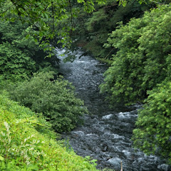 漢字パズルあれこれ