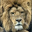 @geertkustersr.3493's avatar
