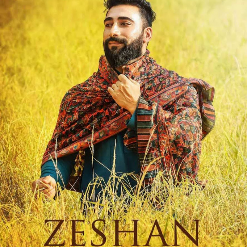 Zeshanmirr